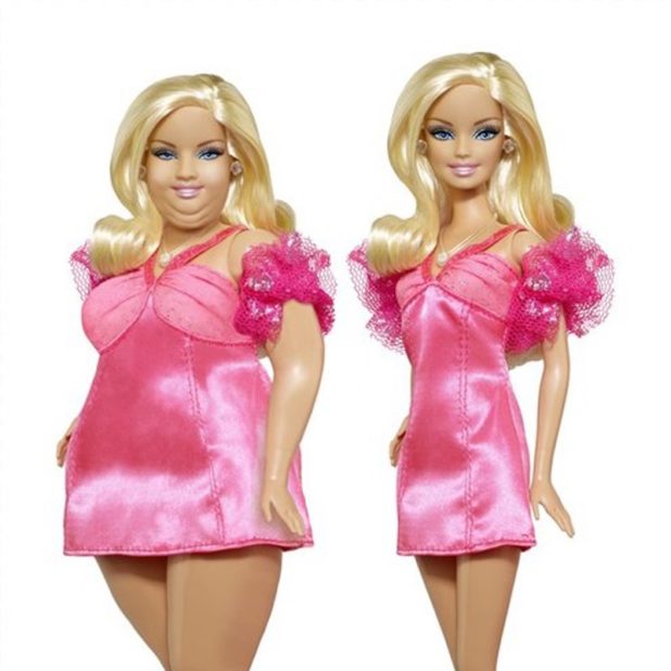 picture of fat barbie