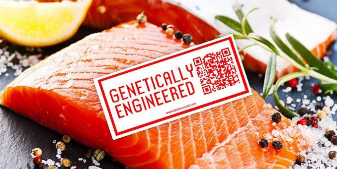 FDA launch pro GMO propaganda campaign