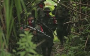 ELN guerrilla (archives)