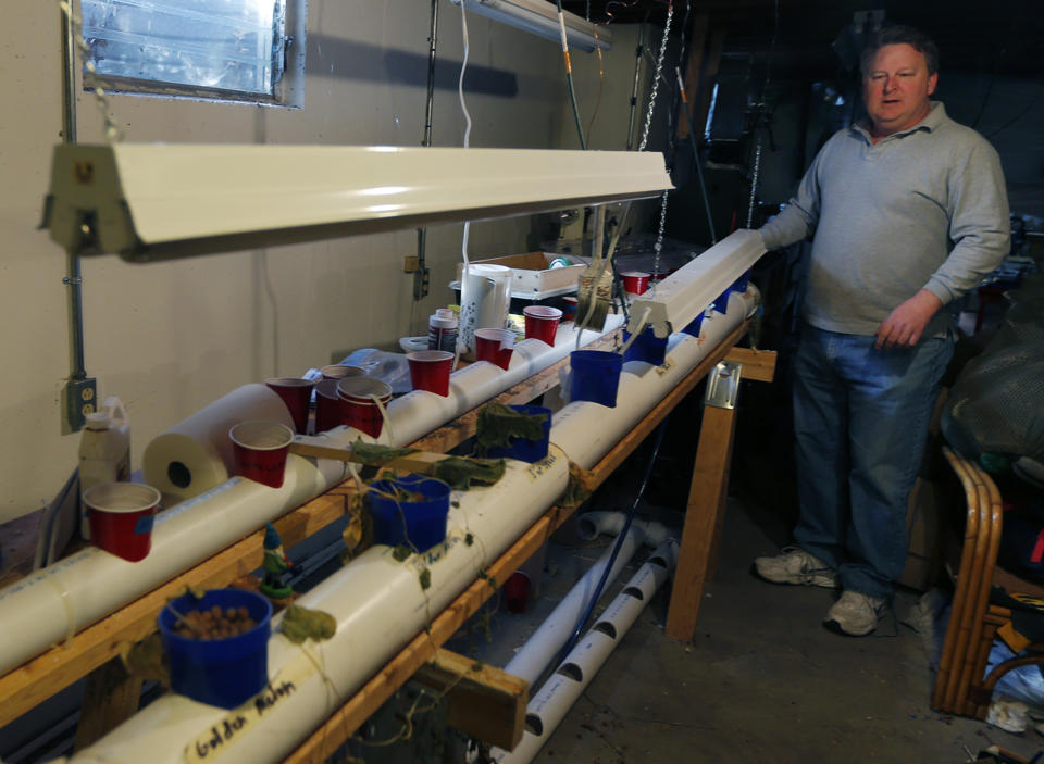 Bob Harte displays the indoor garden his family cultivates. (AP Photo/Orlin Wagner)