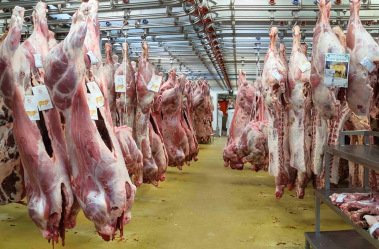 All Slaughterhouses In England To Have Mandatory Cameras Installed