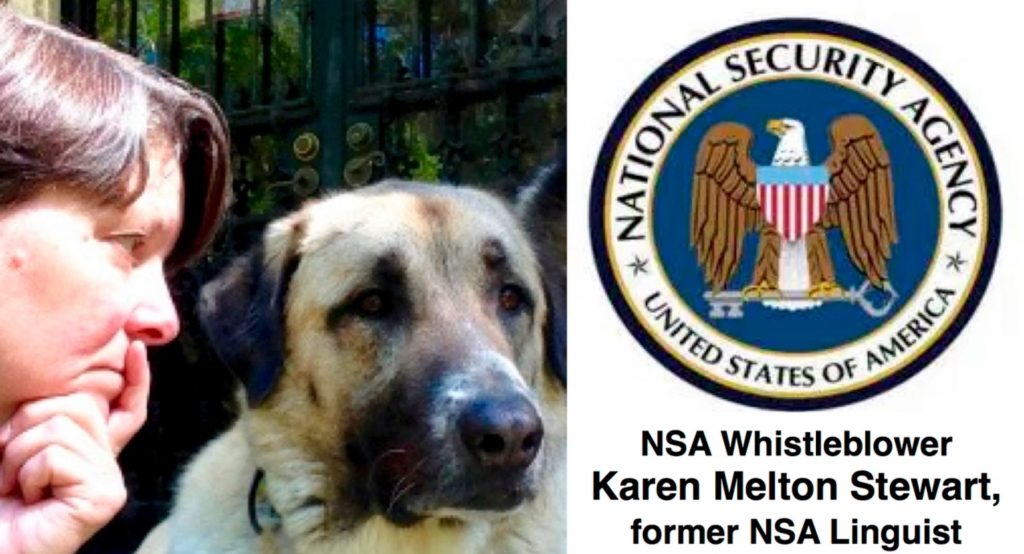 Yet Another Former NSA Analyst Faces Criminal Charges