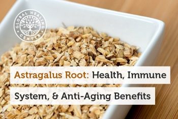 Astragalus Root – Health, Immune System and Anti-Aging Benefits