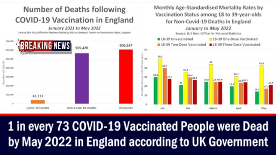 Vaccine deaths in UK