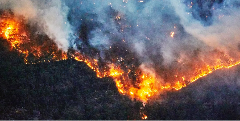 California And Colorado: Climate-Driven Transformation Of Wildfires