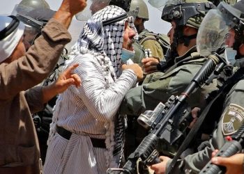 PCHR: Weekly Report on Israeli Human Rights Violations in Palestine (23– 28 July 2020)