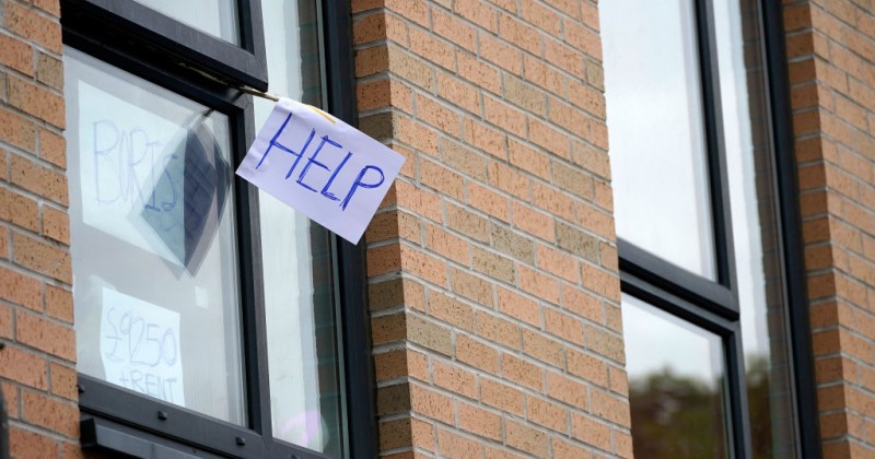 Students Threatened With Police Action For Displaying Anti-Lockdown Signs in Windows