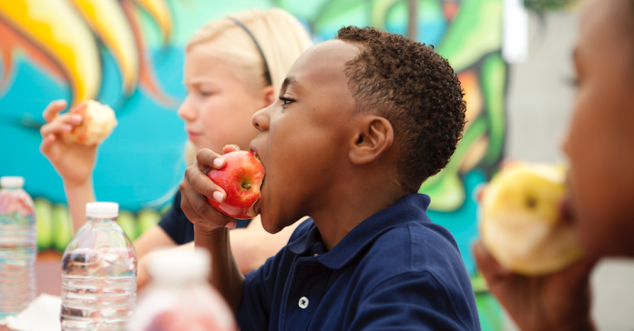 Trump’s EPA dismisses dangers of chlorpyrifos on children’s brain downplaying agency’s own findings