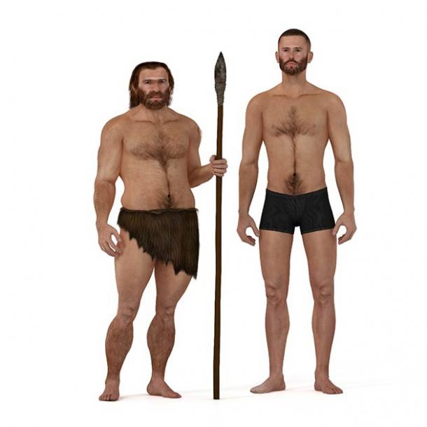 A Neanderthal on the left versus a modern human on the right. We sure look different but below the surface the modern human genome also includes the Neanderthal gene that makes Covid-19 more severe. (nicolasprimola / Adobe Stock)