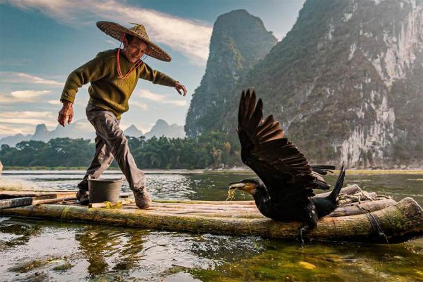 A fisherman trains his cormorant to catch fish. (imphilip /Adobe Stock)