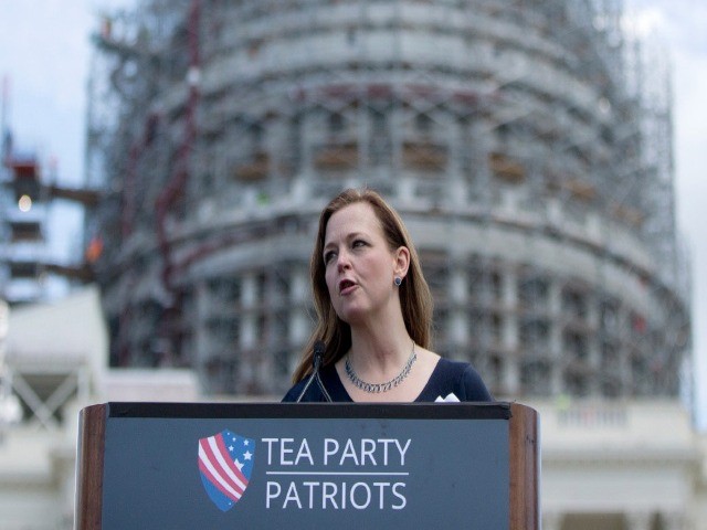 Tea Party Patriots to Hold 'Protect the Vote Protests' Across Country on Thursday