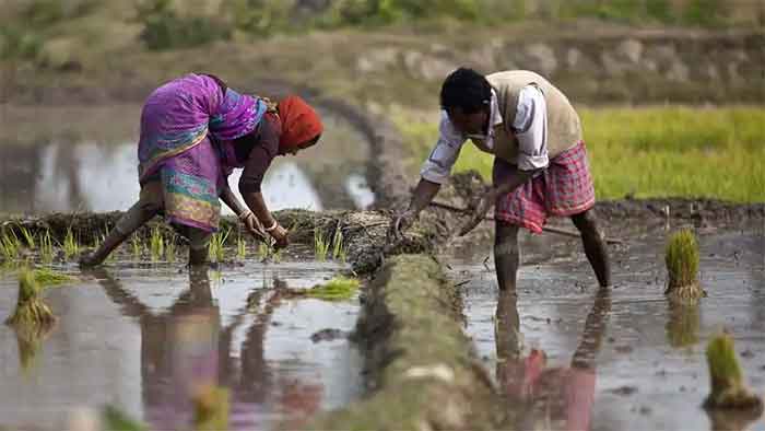 Great Caution is Needed to Prevent Farming Getting Trapped in Unsustainable Systems