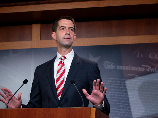 Tom Cotton to Trump: Accept Election Results, ‘Quit Misleading the American People’