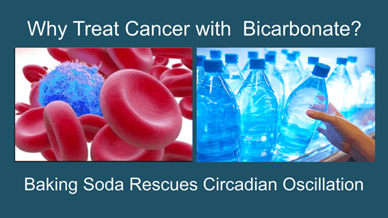 Nothing Like Bicarbonate for Cancer – The Science Part Two