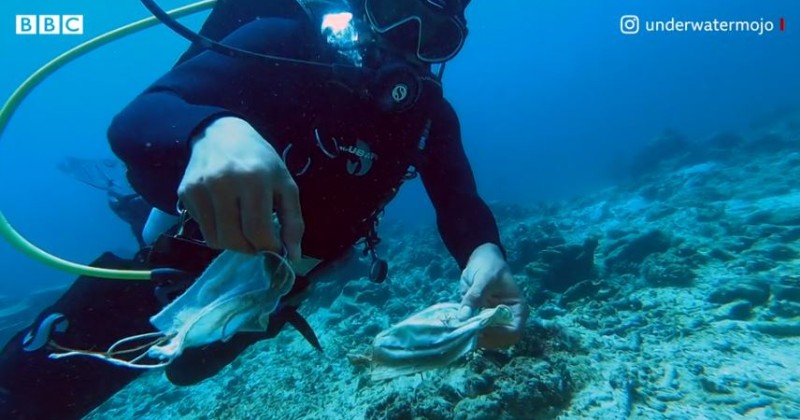 Philippines Coral Reef Covered With Face Masks