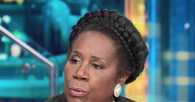 Sheila Jackson Lee: Republicans Engaged in 'War on Black People' Voting