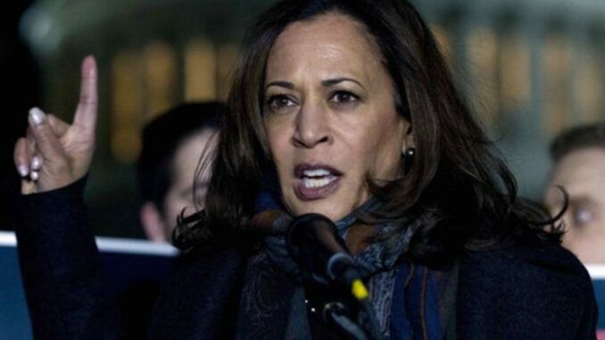 Kamala Harris says it's time to ban assault weapons in the U.S.