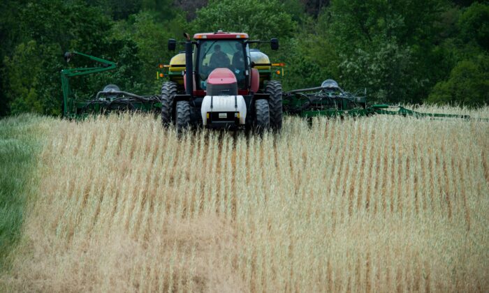 A farmer plants corn in the Marvin Chapel field in Mount Airy, Maryland on May 19, 2020. (Andrew Caballero-Reynolds/AFP via Getty Images)