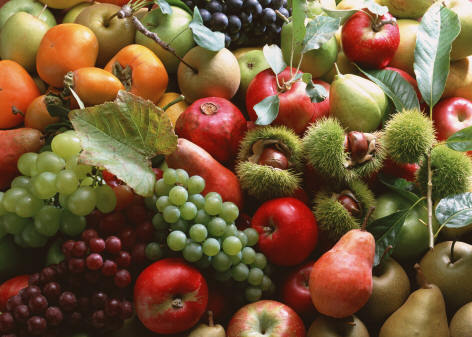 Food as medicine — the answer to mounting health crises Fresh-fruits-736