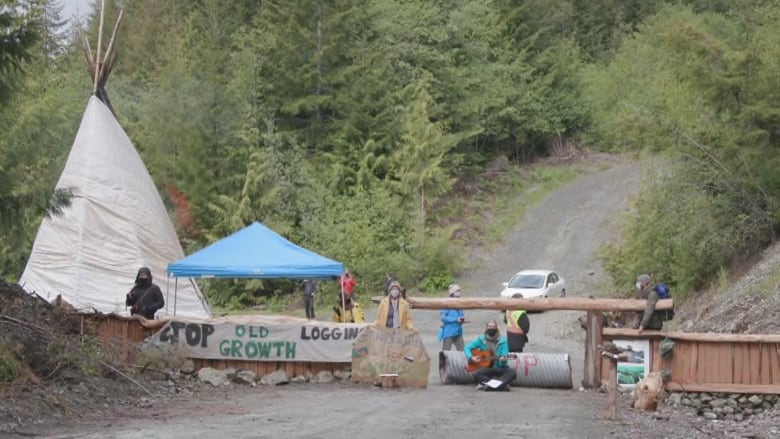 https://www.jewworldorder.org/wp-content/uploads/2021/05/police-arrest-7-protesters-at-logging-blockade-on-southern-vancouver-island.jpg