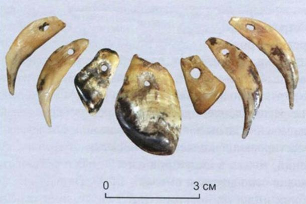 Believe it or not, the oldest artifact ever found in Eurasia is an elk tooth pendant. It was discovered in the Altai region of Russia in an Denisovan cave. And now we know that elk teeth dances were practiced as far away as the eastern edges of modern-day Finland. (Institute of Archaeology and Ethnography)