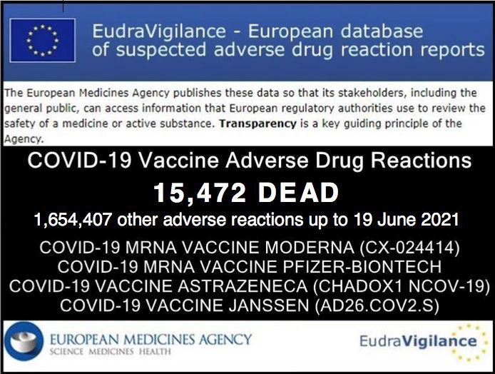 EudraVigilance adverse reactions / death covid vaccine June 19 th