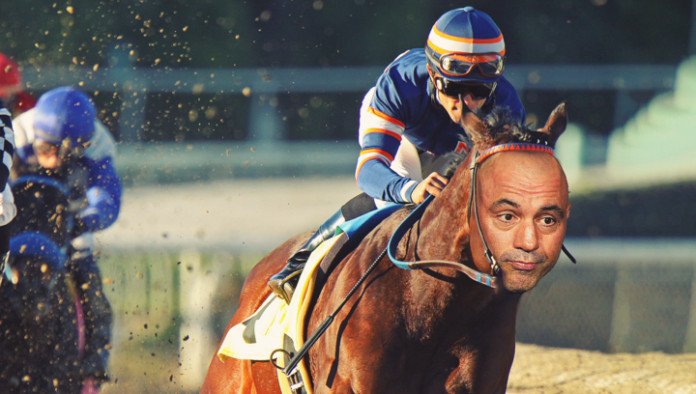 Joe Rogan Bounces Back From COVID To Win Kentucky Derby