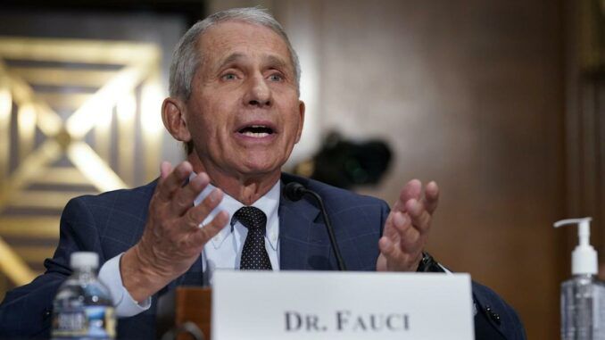 Dr Fauci