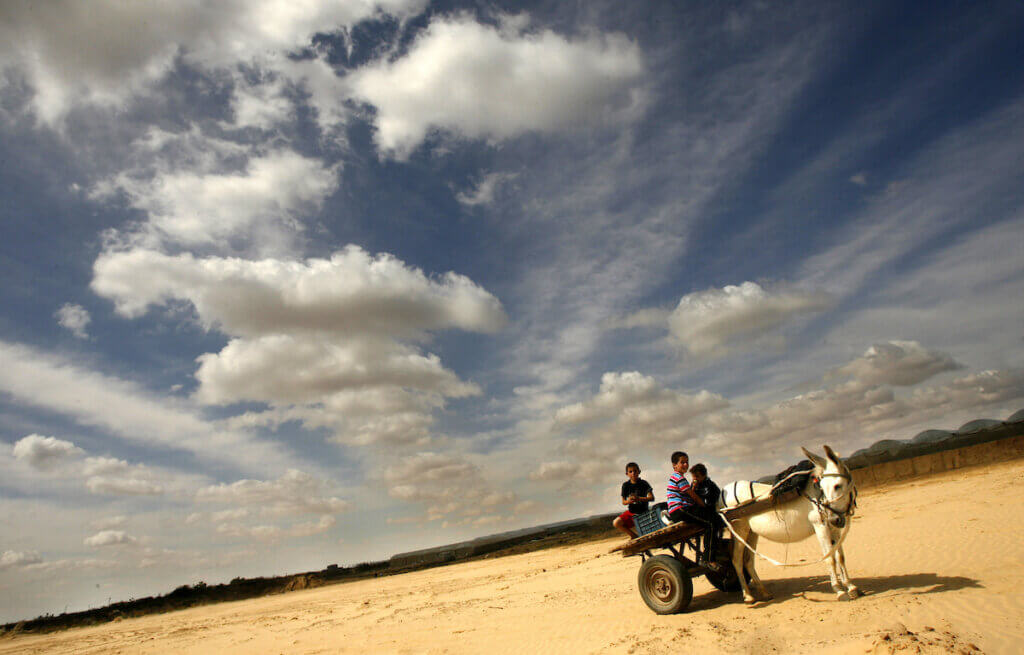 Palestinian boys ride a donkey cart in in Rafah, near the barrier with Israel in the southern Gaza Strip, May 26, 2012. (Photo: Eyad Al Baba/APA Images)