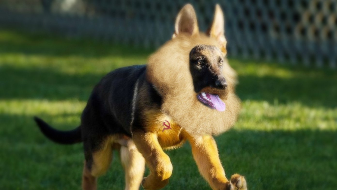 It's Official: New White House Dog To Be Named Karl Barx