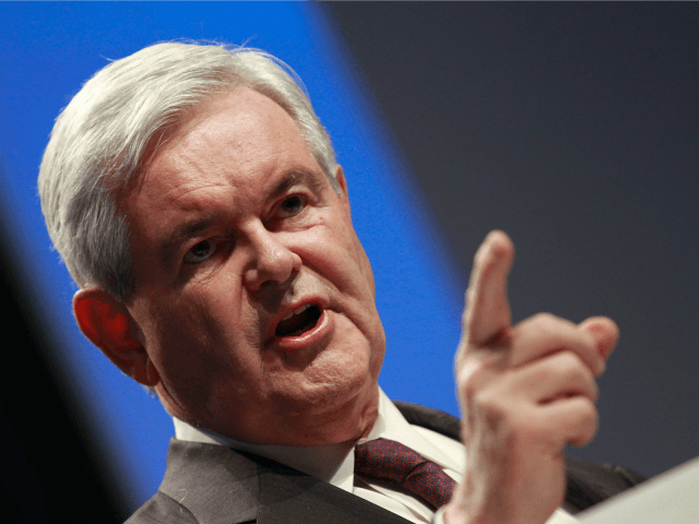 Gingrich: Ukraine 'Now Worse than Afghanistan'