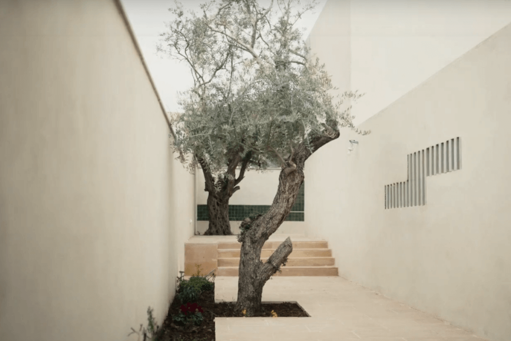 What’s the story?: Elias Khuri on the home with 12 olive trees