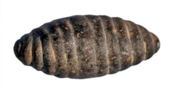 The stone carved chrysalis found at the Shangguo Site in Wenxi County in the city of Yuncheng, north China's Shanxi Province. Source: Provincial archaeology institute of Shanxi/Handout via Xinhua