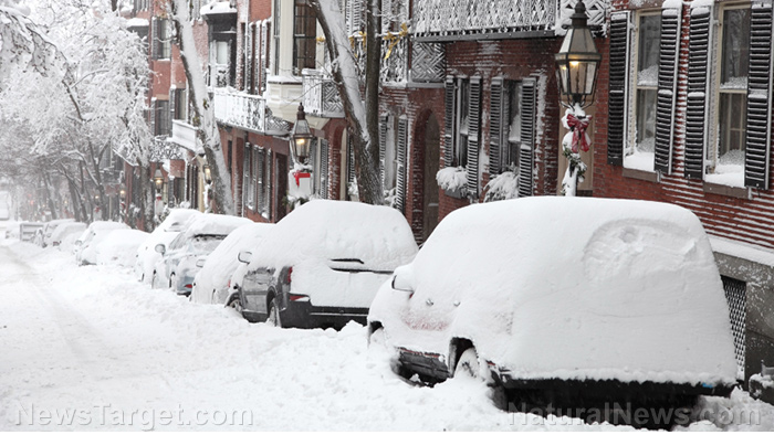 Belgian PM issues dire warning to citizens: Expect to endure hard winters for YEARS to come amid Eur...