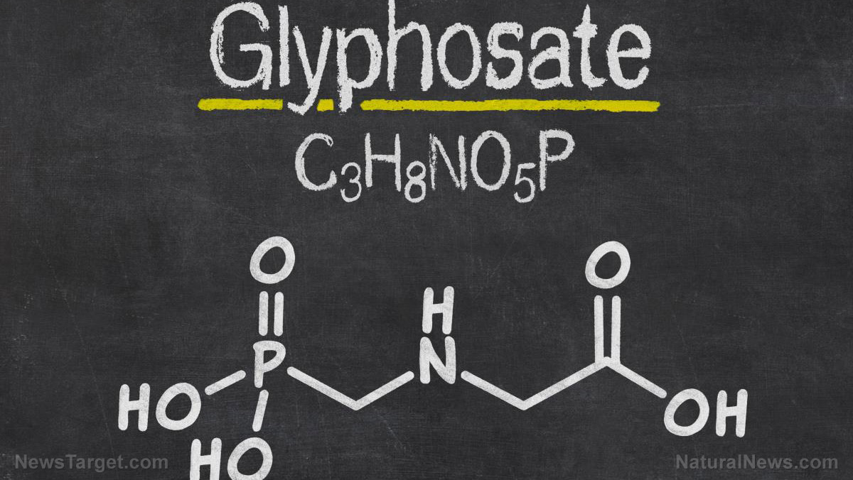 LISTEN as Dr. Judy Mikovitz explains how glyphosate amplifies the toxicity of covid “vaccines&...