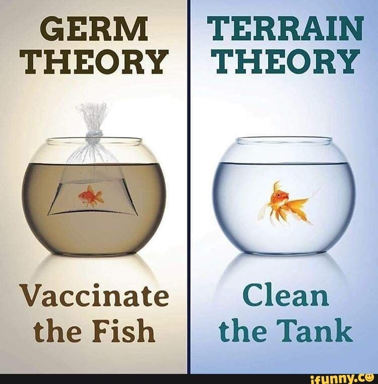 Introduction to the Terrain Paradigm through the Bigelsen Method of Holographic Blood