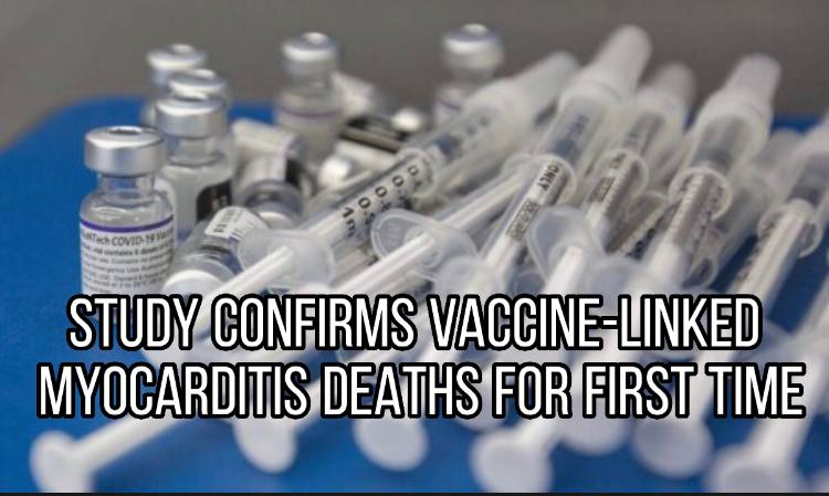 Study Confirms Vaccine-Linked Myocarditis Deaths for First Time