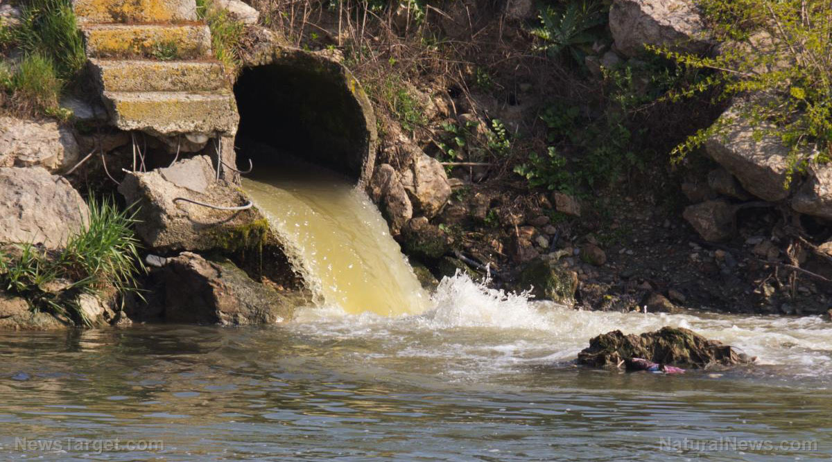 World Economic Forum-linked “expert” says “drinking recycled sewage is the future&...