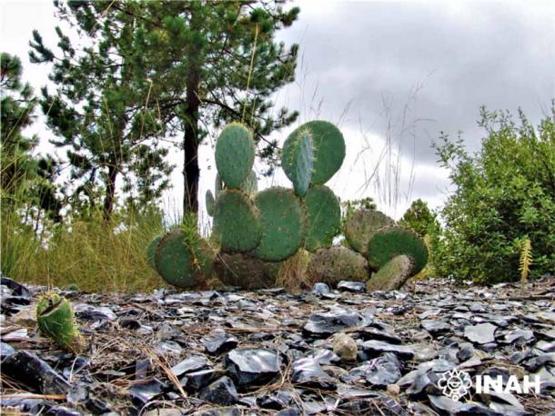 The edge of one of 500 obsidian mine shafts found in Central Mexico recently, which is shedding new light on pre-Hispanic Teotihuacan commerce and trade. 