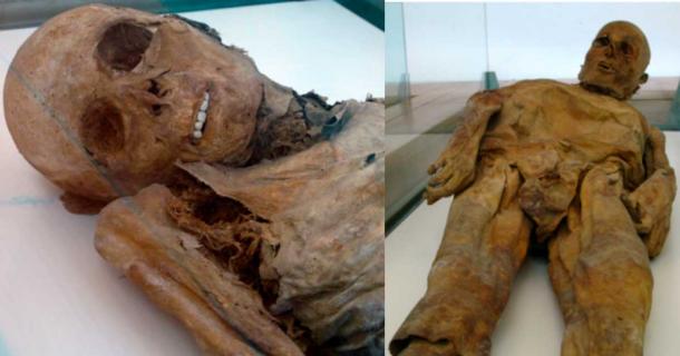 Two of the creepily preserved Venzone mummies. With normal decomposition, teeth tend to fall out several weeks after death. Source: Left; Joadl / CC BY SA 3.0 Right; Joadl / CC BY SA 3.0