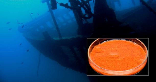 Representational image of a sunken shipwreck. Source: bayazed / Adobe Stock. Inset: Saffron, peppercorns, and almonds found aboard the Gribshunden ship. Credit: Larsson, M. and Foley, B.