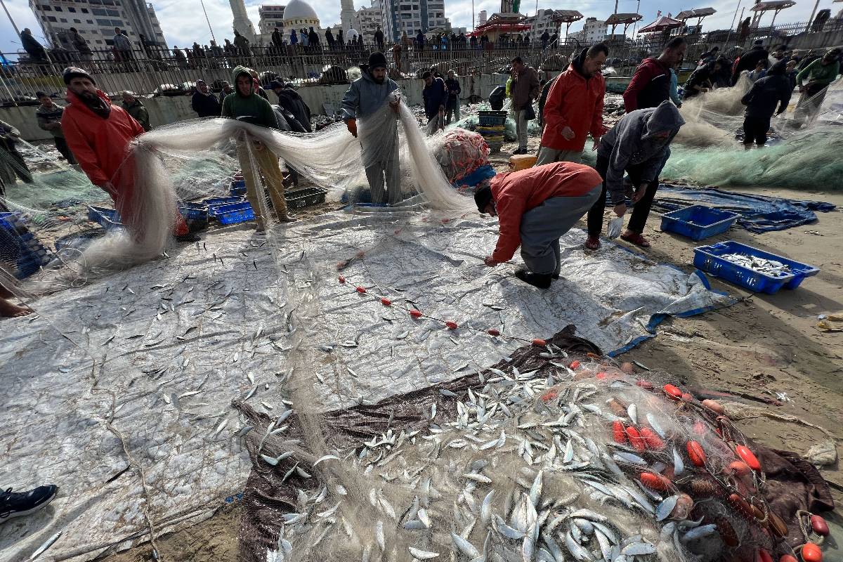 Fish stocks rise in Gaza after days of bad weather