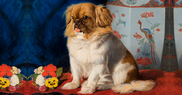 Portrait of Looty the Pekingese lion dog, commissioned by Queen Victoria and painted by Friedrich Wilhelm Keyl. Source: Public domain