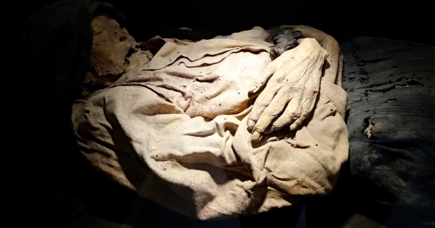 One of the Guanajuato Mummies. Source: Arlette / Adobe Stock 