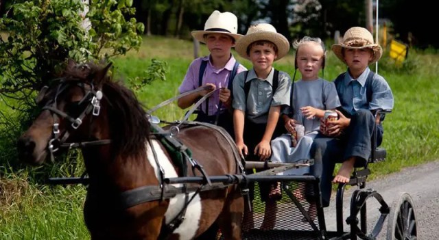 New Study Finds Zero Amish Children Diagnosed with Cancer, Diabetes or Autism