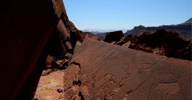 Encoded Information Found in Stone Age Animal Track Engravings in Namibia