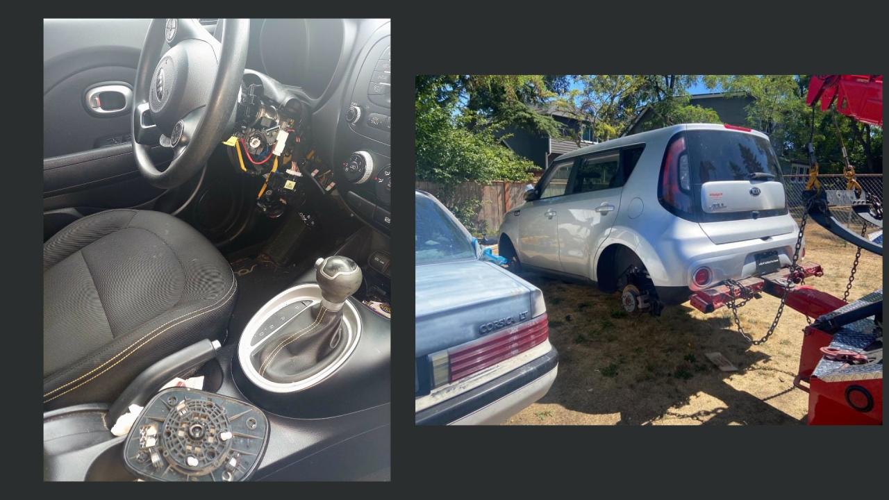 What It's Like to Own the Cars That Became a Viral Sensation to Steal