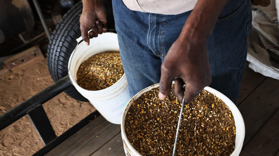 Black farmers are being targeted by a misguided federal policy. That’s nothing new